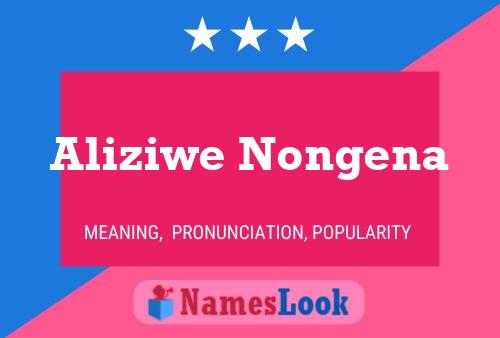 Aliziwe Nongena 名字海报