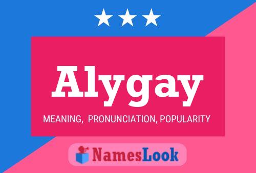 Alygay 名字海报