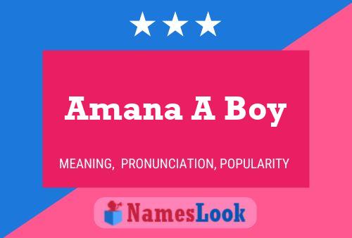 Amana A Boy 名字海报