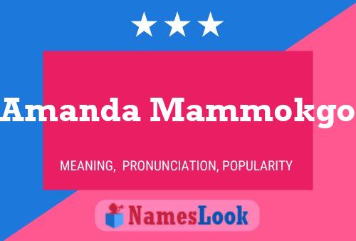 Amanda Mammokgo 名字海报