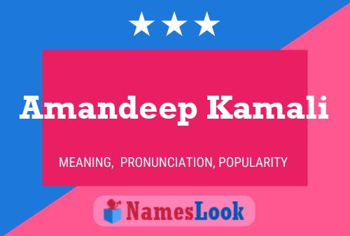 Amandeep Kamali 名字海报