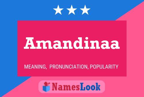 Amandinaa 名字海报