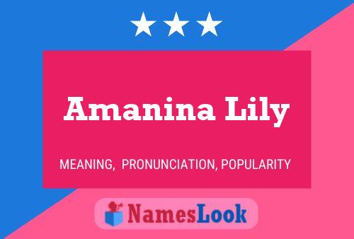 Amanina Lily 名字海报