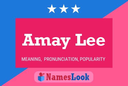 Amay Lee 名字海报