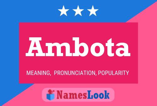 Ambota 名字海报