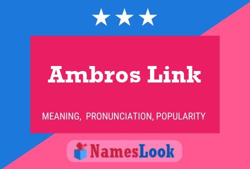 Ambros Link 名字海报