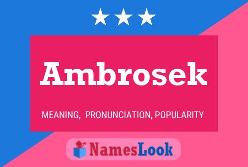 Ambrosek 名字海报