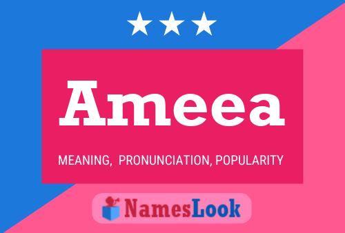 Ameea 名字海报