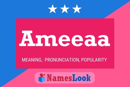 Ameeaa 名字海报