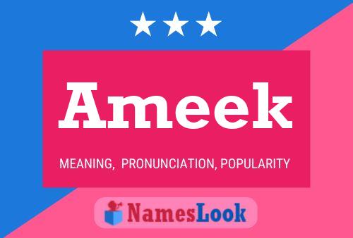 Ameek 名字海报