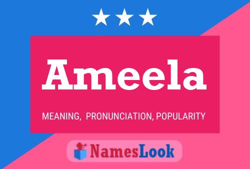 Ameela 名字海报