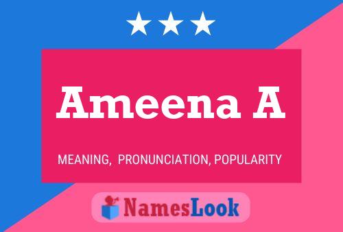 Ameena A 名字海报