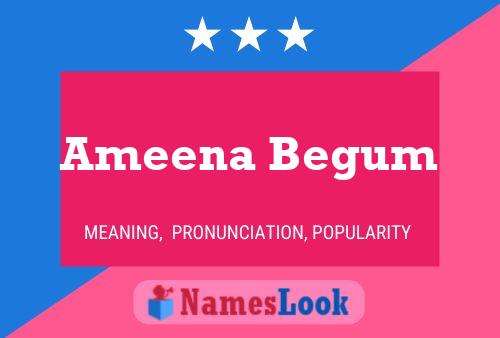 Ameena Begum 名字海报