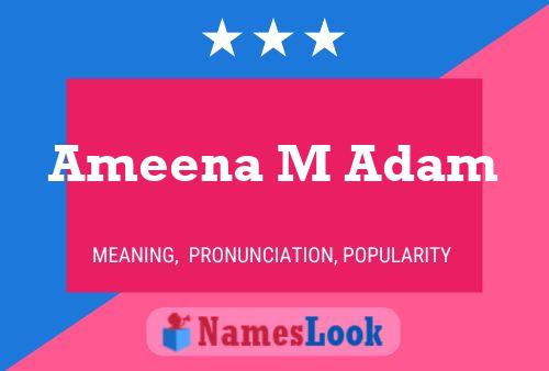 Ameena M Adam 名字海报