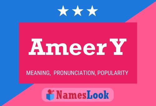 Ameer Y 名字海报