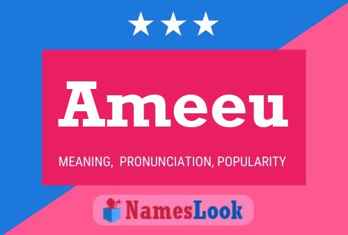 Ameeu 名字海报