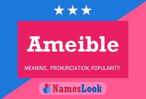 Ameible 名字海报