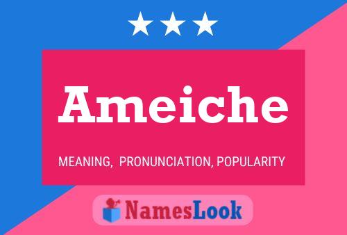 Ameiche 名字海报