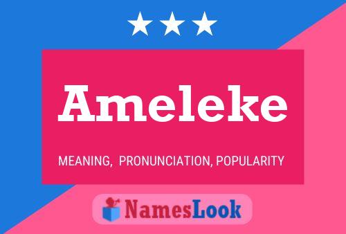 Ameleke 名字海报