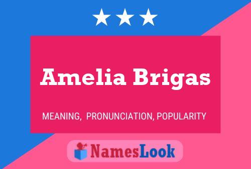 Amelia Brigas 名字海报