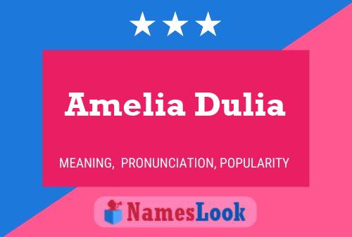 Amelia Dulia 名字海报