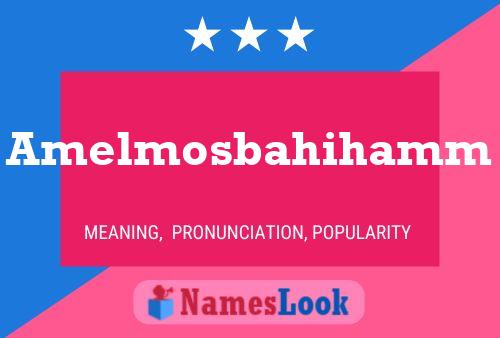 Amelmosbahihamm 名字海报