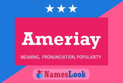 Ameriay 名字海报