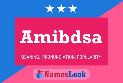 Amibdsa 名字海报