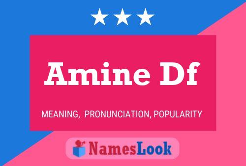 Amine Df 名字海报