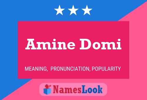 Amine Domi 名字海报