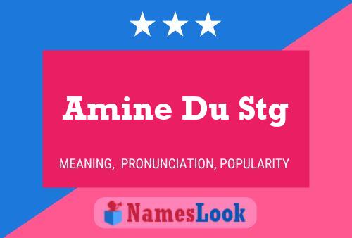 Amine Du Stg 名字海报