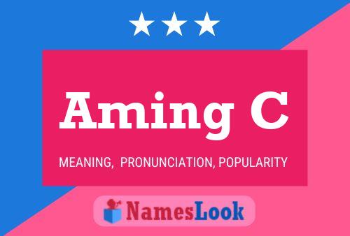 Aming C 名字海报