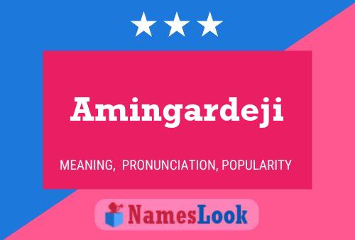 Amingardeji 名字海报