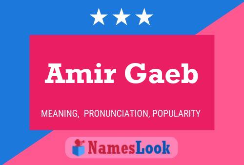 Amir Gaeb 名字海报