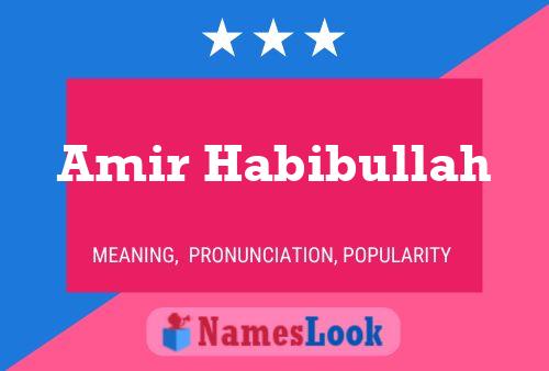 Amir Habibullah 名字海报