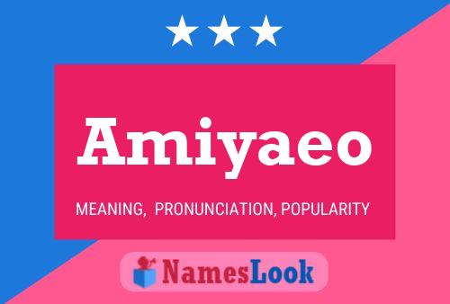 Amiyaeo 名字海报