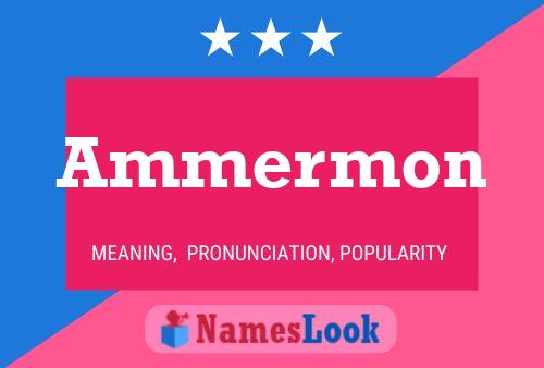 Ammermon 名字海报