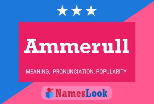 Ammerull 名字海报