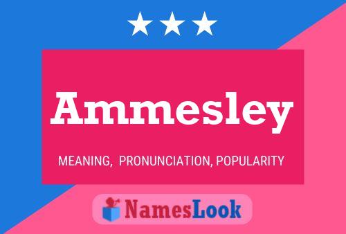 Ammesley 名字海报