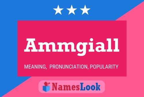 Ammgiall 名字海报