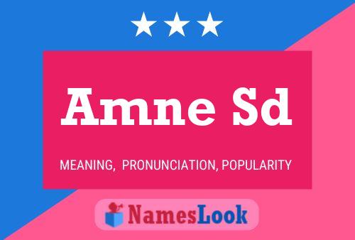 Amne Sd 名字海报