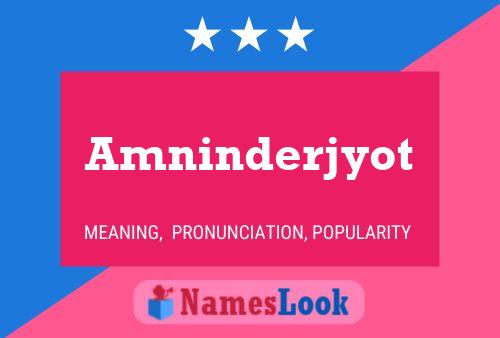 Amninderjyot 名字海报