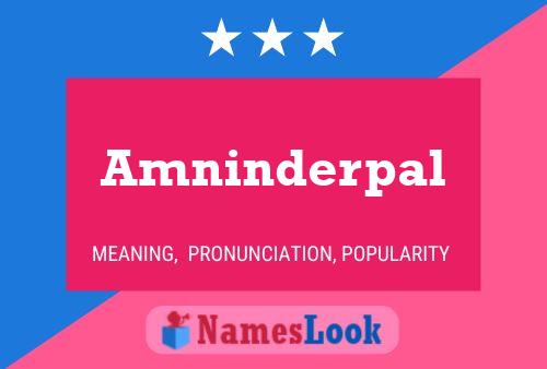 Amninderpal 名字海报