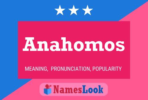 Anahomos 名字海报