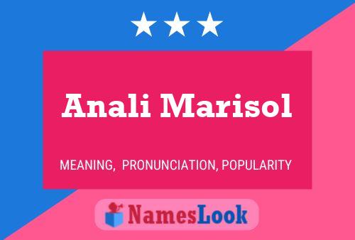 Anali Marisol 名字海报