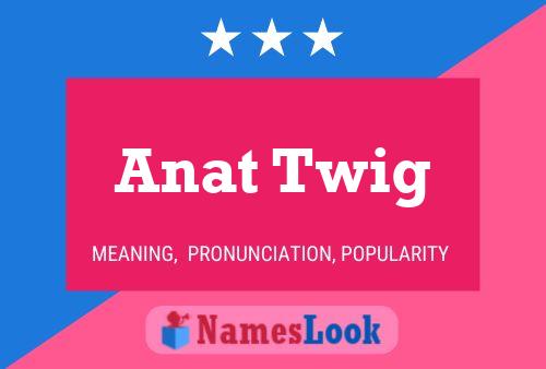 Anat Twig 名字海报