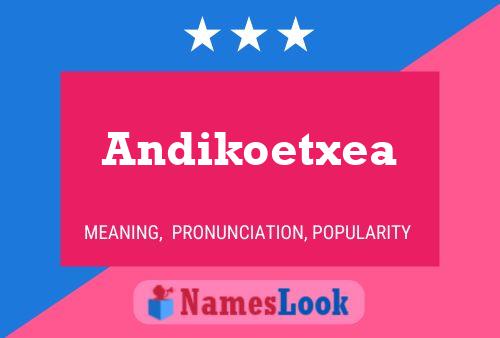 Andikoetxea 名字海报