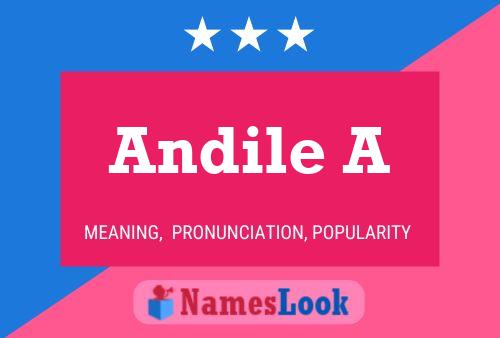 Andile A 名字海报