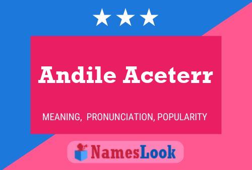 Andile Aceterr 名字海报