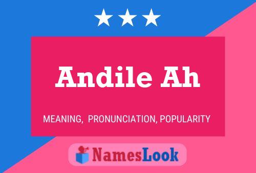 Andile Ah 名字海报